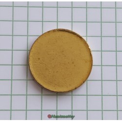 Flan vierge 20 cent euro non frappé cordonné