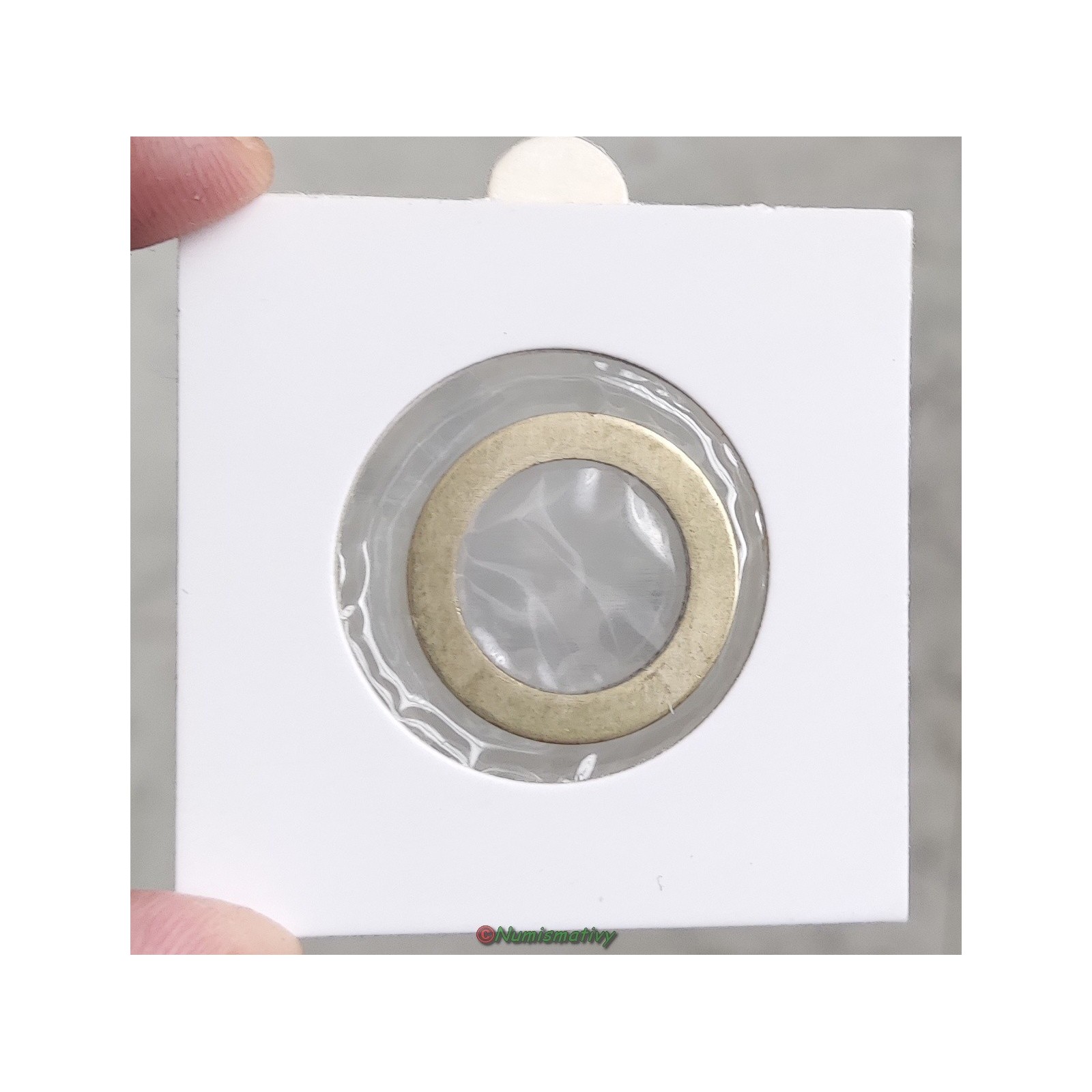 couronne brut de flan vierge non frappé 1 euro  € NON cordonné